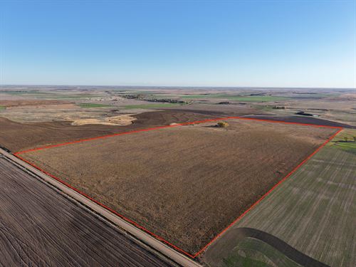 Rush County Cropland And Hunting : Alexander : Rush County : Kansas