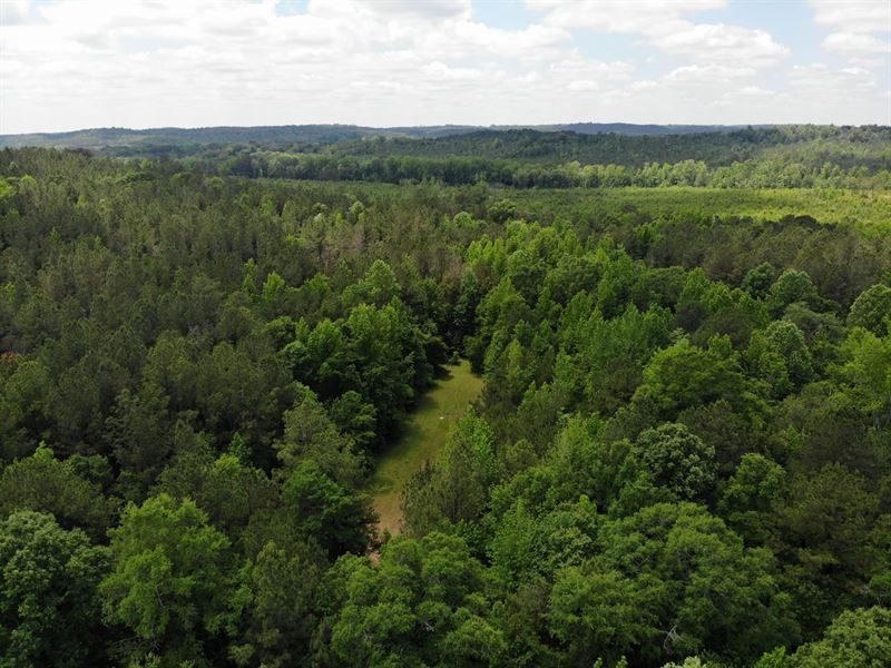 Heiberger 191 : Marion : Perry County : Alabama