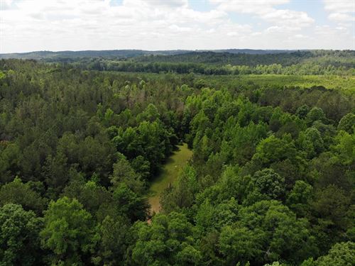 Heiberger 191 : Marion : Perry County : Alabama
