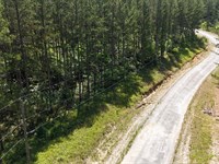 Pine Hills Way : Piedmont : Etowah County : Alabama