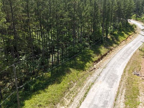 Pine Hills Way : Piedmont : Etowah County : Alabama