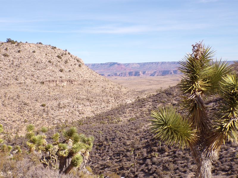 10 Ac, Grand Canyon West Rim Views : Meadview : Mohave County : Arizona