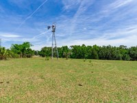 Wild Hair Ranch : Brooksville : Hernando County : Florida