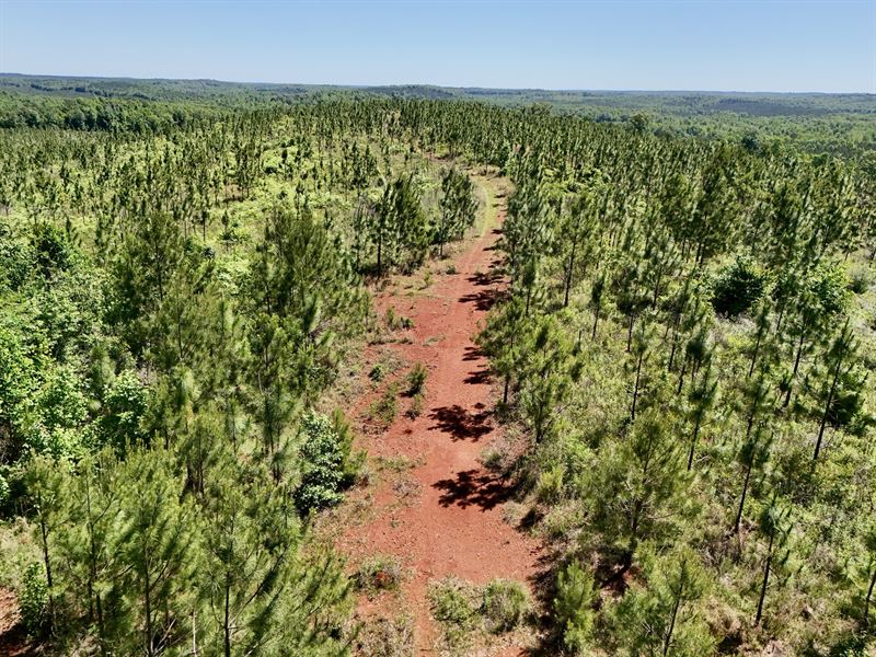Longleaf Ridge : Camp Hill : Lee County : Alabama