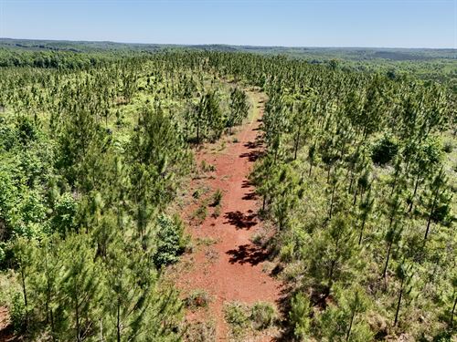 Longleaf Ridge : Camp Hill : Lee County : Alabama