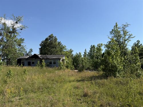 5 Acres, Home Site, Wooded Land : Adamsville : Hardin County : Tennessee