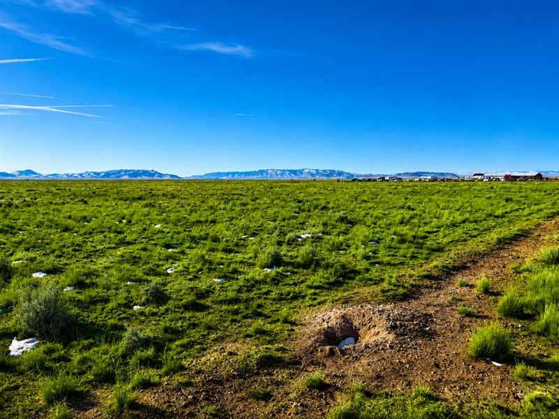 5 Acres on Stoner Rd with Mountain : Blanca : Costilla County : Colorado