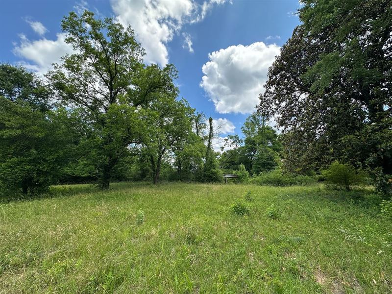 25 Acre Homesite in Marion, Perry : Marion : Perry County : Alabama