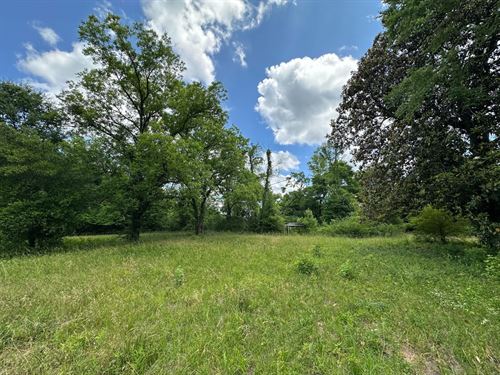25 Acre Homesite in Marion, Perry : Marion : Perry County : Alabama