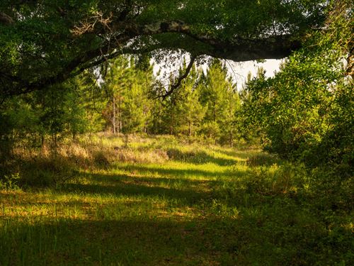 Phillipsville Dyas Creek Investment : Bay Minette : Baldwin County : Alabama
