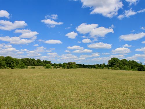Grog Creek Tract : Mooresboro : Cleveland County : North Carolina