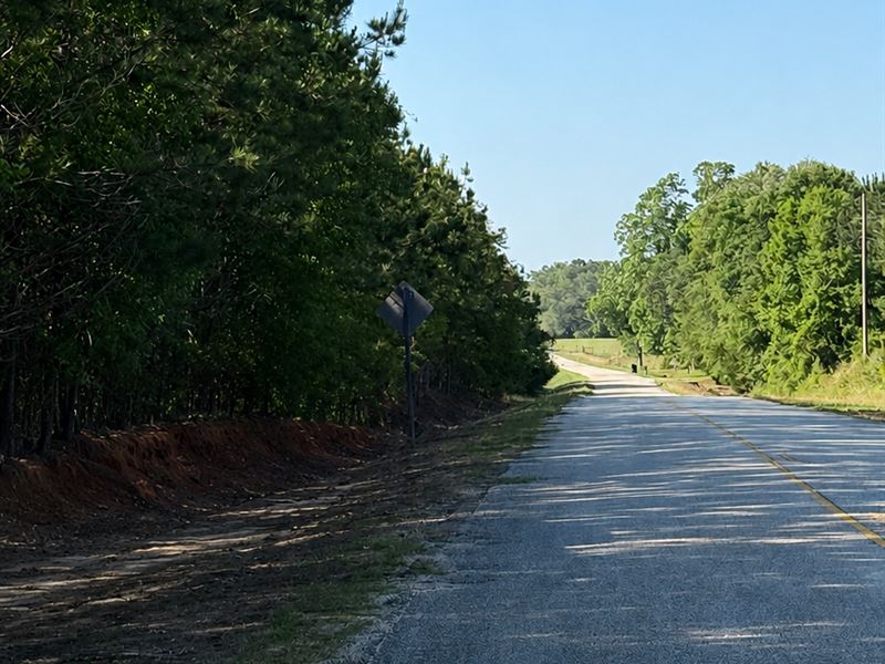 15 Acres in Pansey, AL : Pansey : Houston County : Alabama