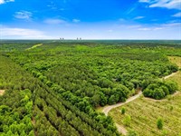 River Road Woods : Waynesboro : Burke County : Georgia