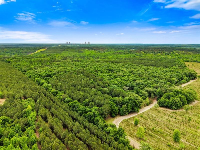 River Road Woods : Waynesboro : Burke County : Georgia