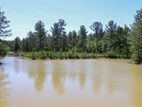 Beautiful Waterfront Homesite : Lyons : Toombs County : Georgia