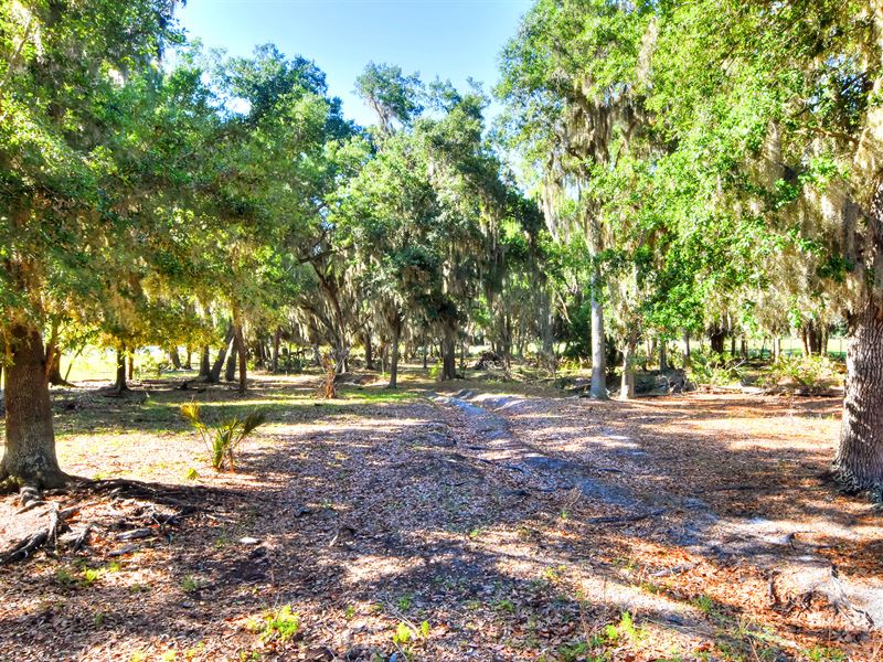 Secluded Rural Oasis : Lithia : Hillsborough County : Florida