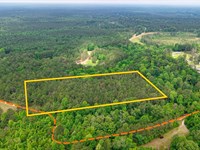 6.70 Ac Wooded Land in Gilbertown : Gilbertown : Choctaw County : Alabama