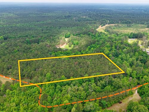 6.70 Ac Wooded Land in Gilbertown : Gilbertown : Choctaw County : Alabama