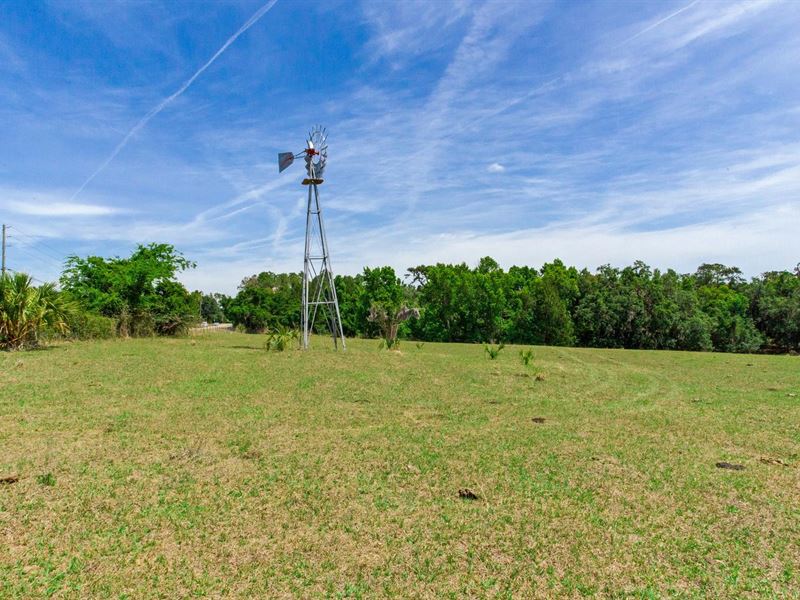 Wild Hair Ranch 19.5 Acres : Brooksville : Hernando County : Florida
