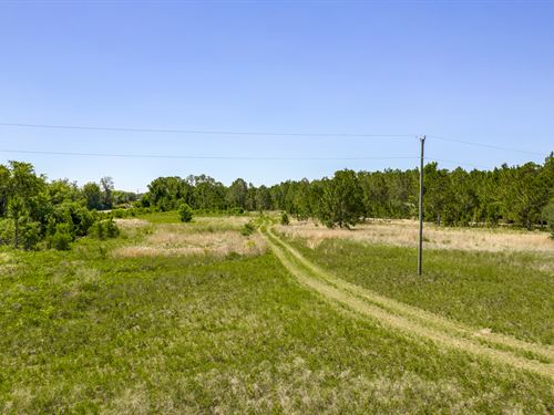 South Lake County Acreage : Clermont : Lake County : Florida