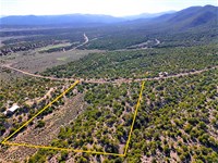 5 Acre Colorado Mountain Retreat : Fort Garland : Costilla County : Colorado