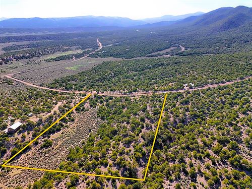 5 Acre Colorado Mountain Retreat : Fort Garland : Costilla County : Colorado