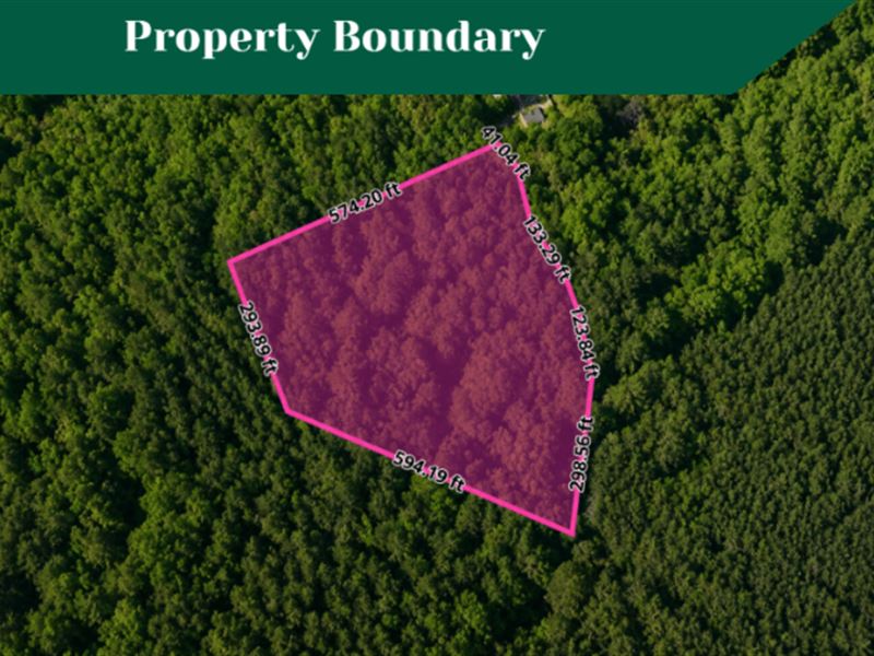 7.06 Acres in Gloucester, VA : Gloucester : Gloucester County : Virginia