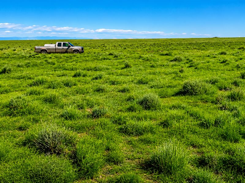 5.03 Acres in Costilla County, Colo : Blanca : Costilla County : Colorado