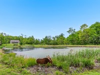 St Rt 78, 82 Acres : Lewisville : Monroe County : Ohio