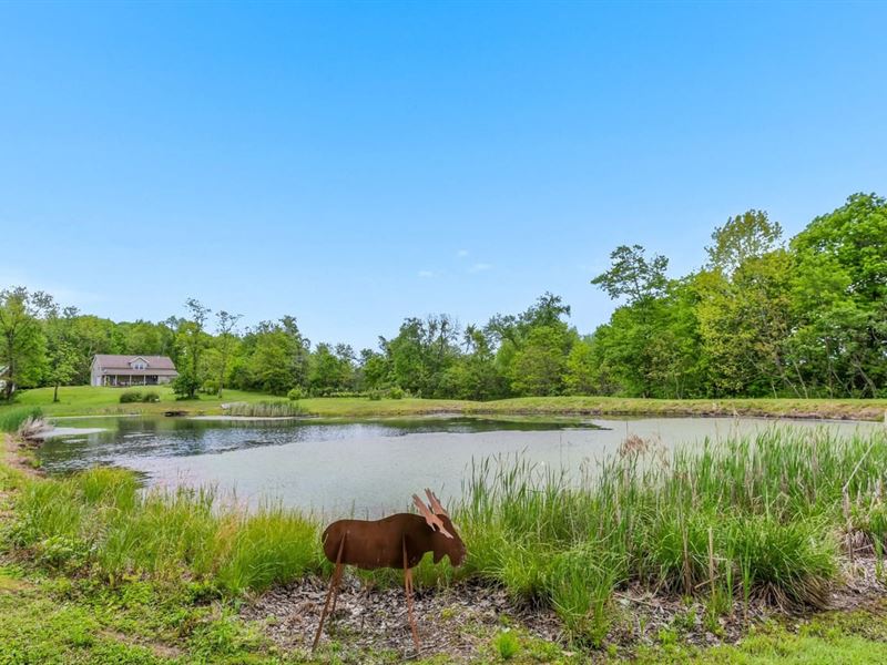 St Rt 78, 82 Acres : Lewisville : Monroe County : Ohio