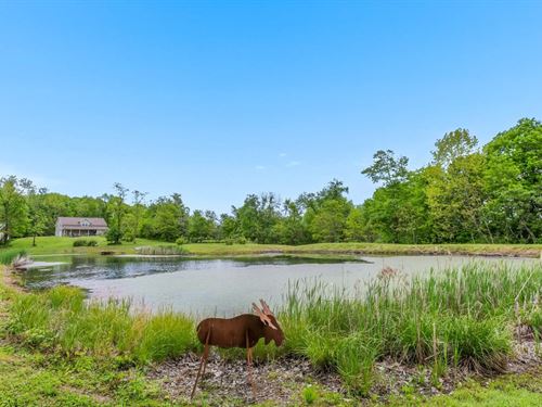 St Rt 78, 82 Acres : Lewisville : Monroe County : Ohio