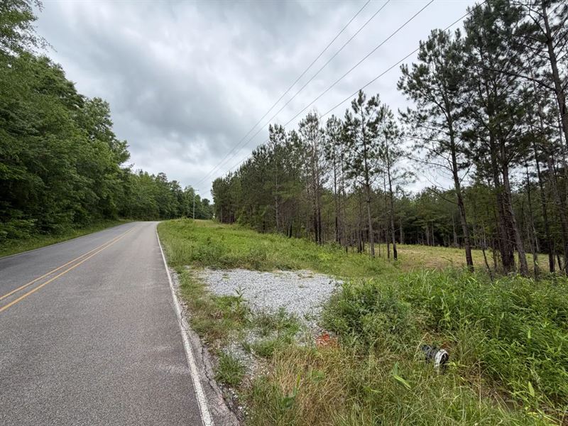 6.79 Acres in Lauderdale County, MS : Meridian : Lauderdale County : Mississippi