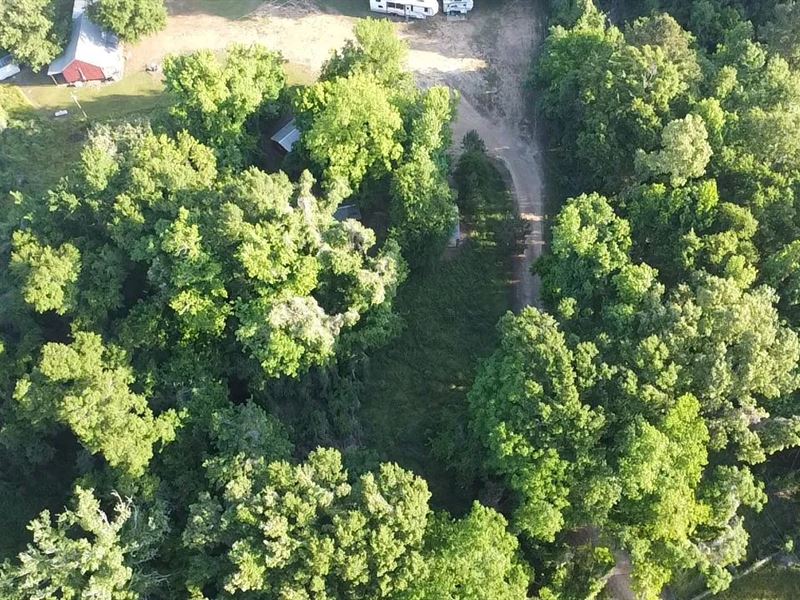 8 Acres with a Main Lodge and 3 Cab : Lorman : Claiborne County : Mississippi