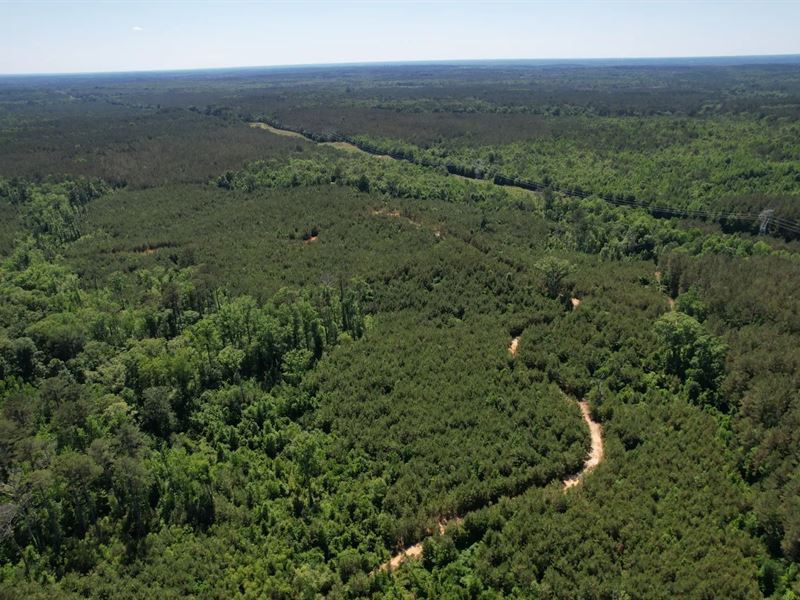 410.8 Acres in Madison County, MS : Camden : Madison County : Mississippi