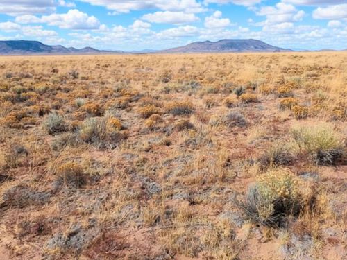 Good Road & Near Rio Grande River : San Luis : Costilla County : Colorado