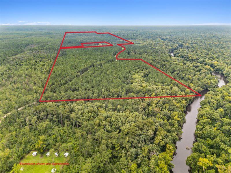 Florida River Timber & Recreational : Bristol : Liberty County : Florida