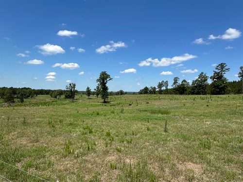 79.65 Acre Cattle Farm with a Home : Hephzibah : Richmond County : Georgia