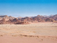 Prime Nevada Desert Land : Yerington : Lyon County : Nevada