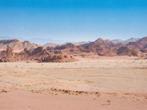 Prime Nevada Desert Land : Yerington : Lyon County : Nevada