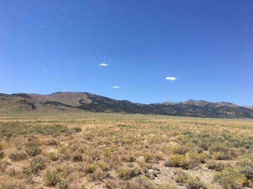 Prime Nevada Desert Land : Yerington : Lyon County : Nevada
