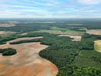 Turkey Creek Corridor : Unadilla : Dooly County : Georgia