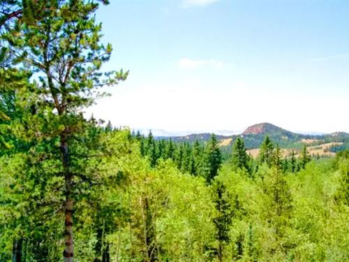 9.90 Acres Surrounded by Forest : Cripple Creek : Teller County : Colorado