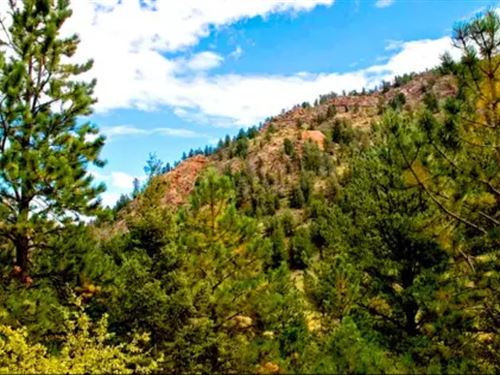 8.29 Acres Land for Camp : Cripple Creek : Teller County : Colorado