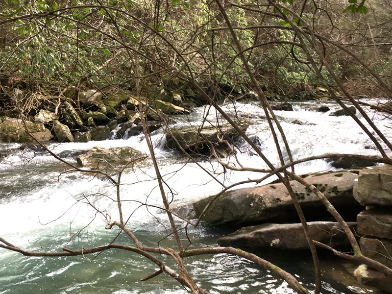 Soddy Creek Hunting Tract : Dunlap : Sequatchie County : Tennessee