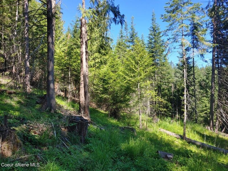 Life on The Joe : Saint Maries : Benewah County : Idaho