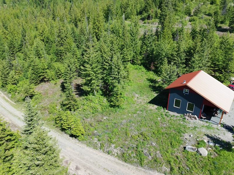 Wild in The Outback : Usk : Pend Oreille County : Washington