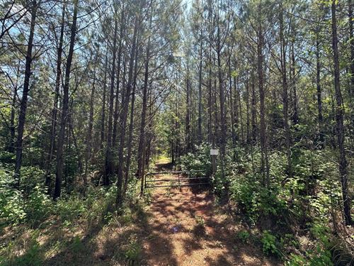 Pine Ridge Tract, 127 Acres in Perr : Marion : Perry County : Alabama
