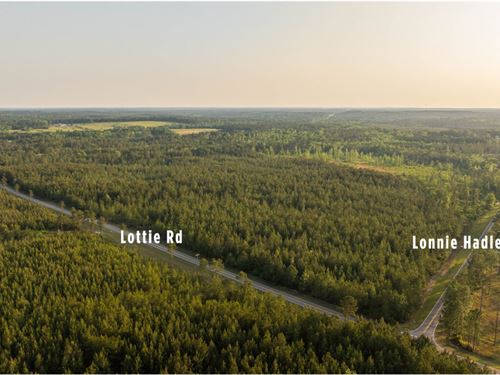 Versatile Lottie Road Development : Perdido : Baldwin County : Alabama