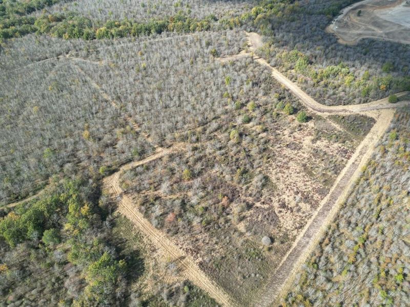 145 Acres in Franklin Parish, LA : Winnsboro : Franklin Parish : Louisiana