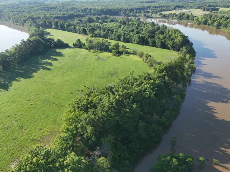112 Acres in Catahoula Parish, LA : Harrisonburg : Catahoula Parish : Louisiana